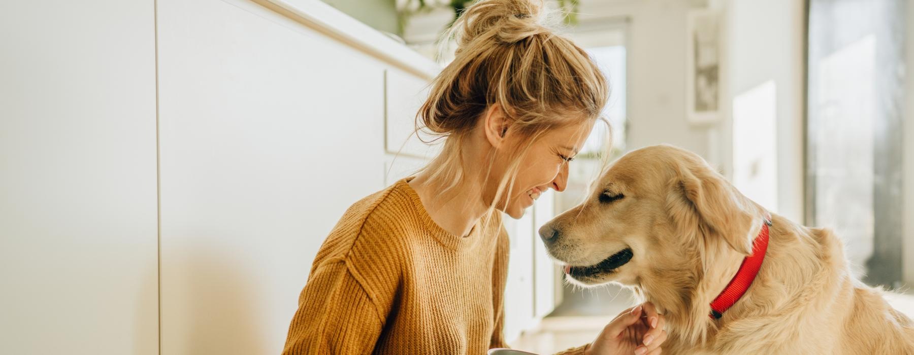 a woman feeding a dog